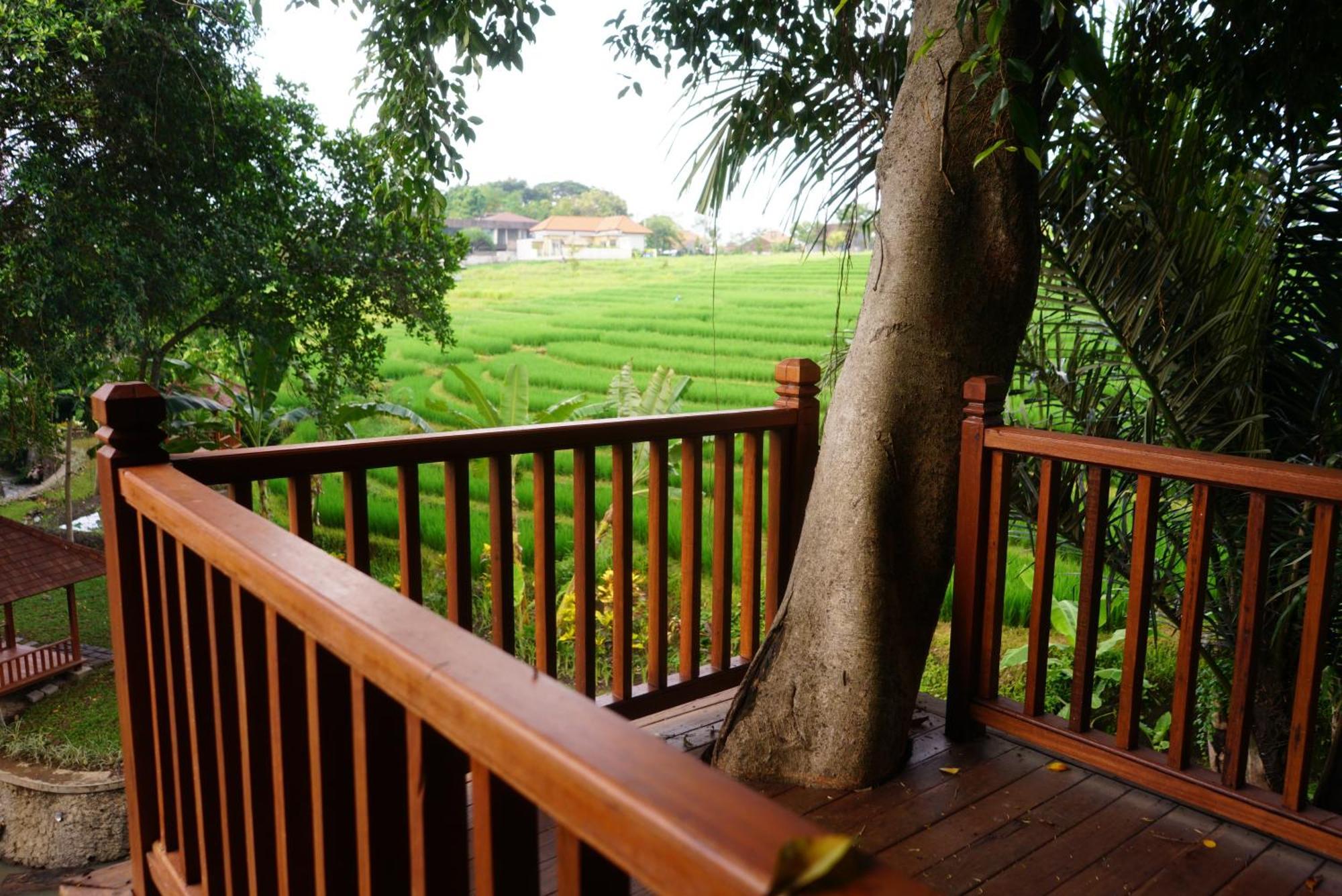 Paripadi Private Villa And Sanctuary Canggu Zewnętrze zdjęcie