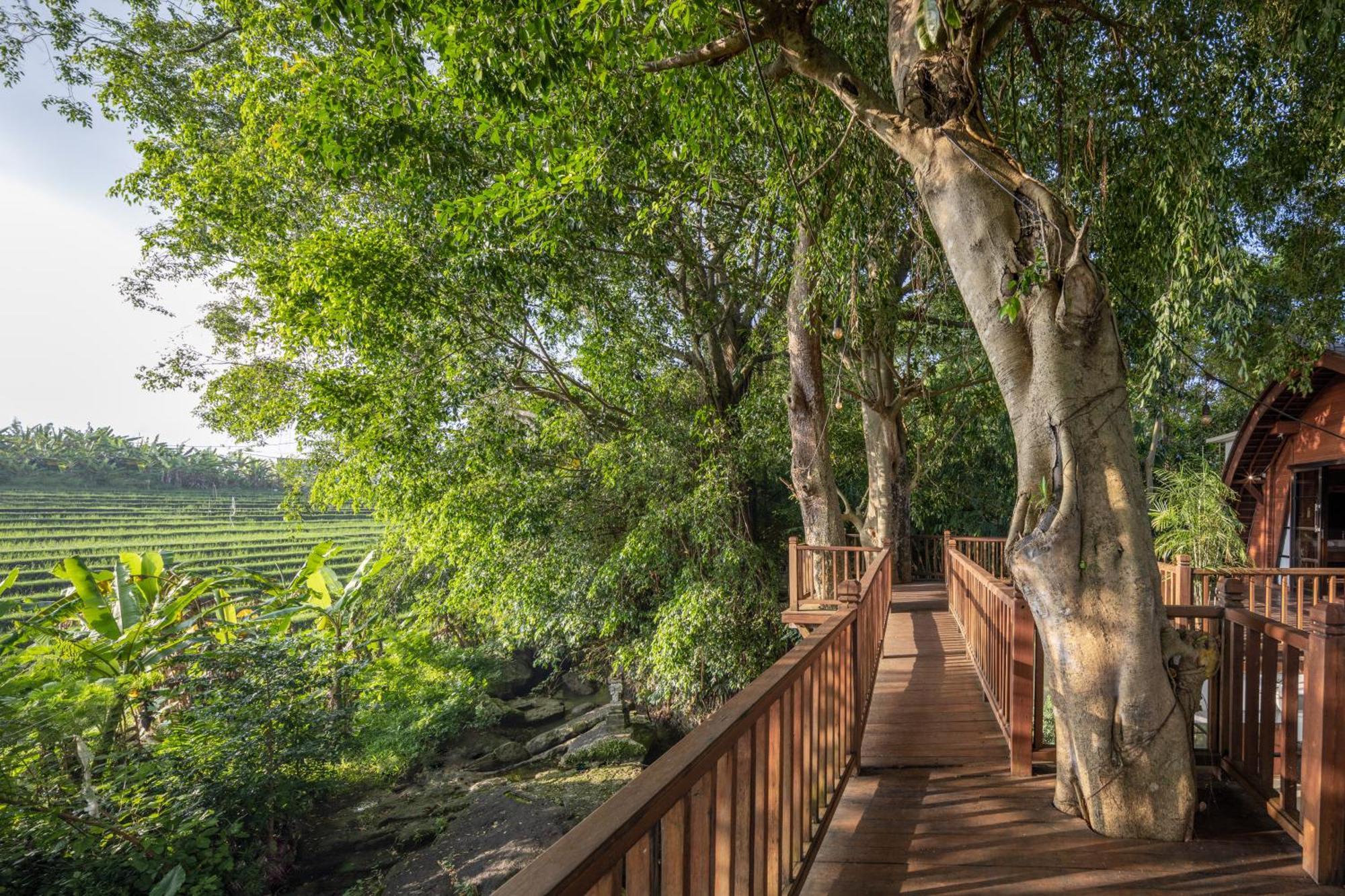 Paripadi Private Villa And Sanctuary Canggu Zewnętrze zdjęcie