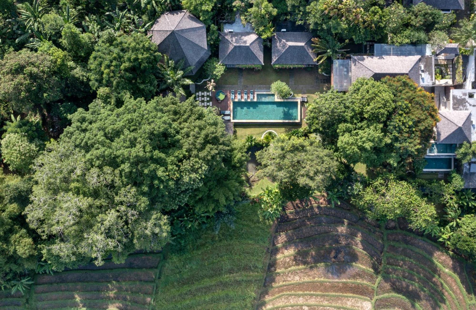 Paripadi Private Villa And Sanctuary Canggu Zewnętrze zdjęcie